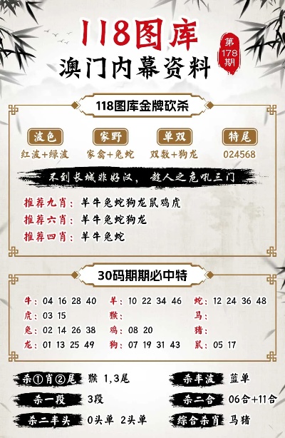 澳门管家婆100%精准准确,全面释义、与落实解答